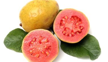 Guayaba<br>x Libra