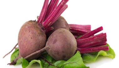 Remolacha<br>x Libra