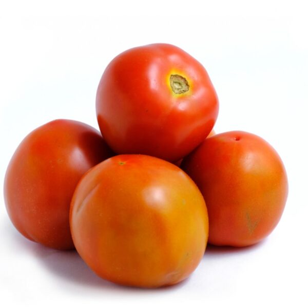 Tomate Chonto<br>x Libra