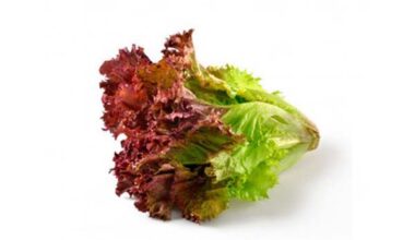 Lechuga Morada<br>x Unidad