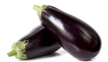 Berengena<br>x Unidad.