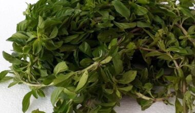 Oregano<br>x Atado