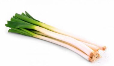 Cebolla Larga Limpia <br> x Libra
