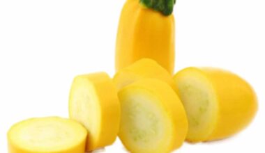 Calabacin Amarillo<br>x Libra