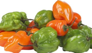 Aji Dulce<br>x Bolsa.