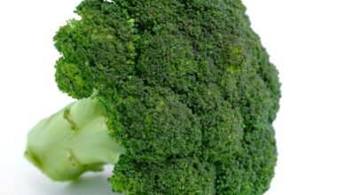 Brocoli<br>x Libra